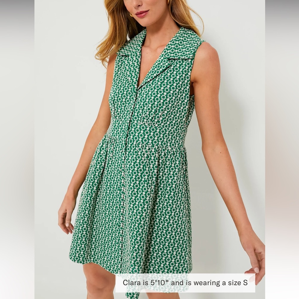 Tuckernuck Green Mini Dress